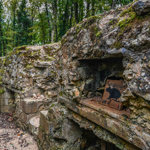 Tranchées-de-la-Forêt-d’Apremont