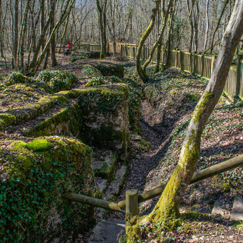 Tranchées-de-la-Forêt-d’Apremont