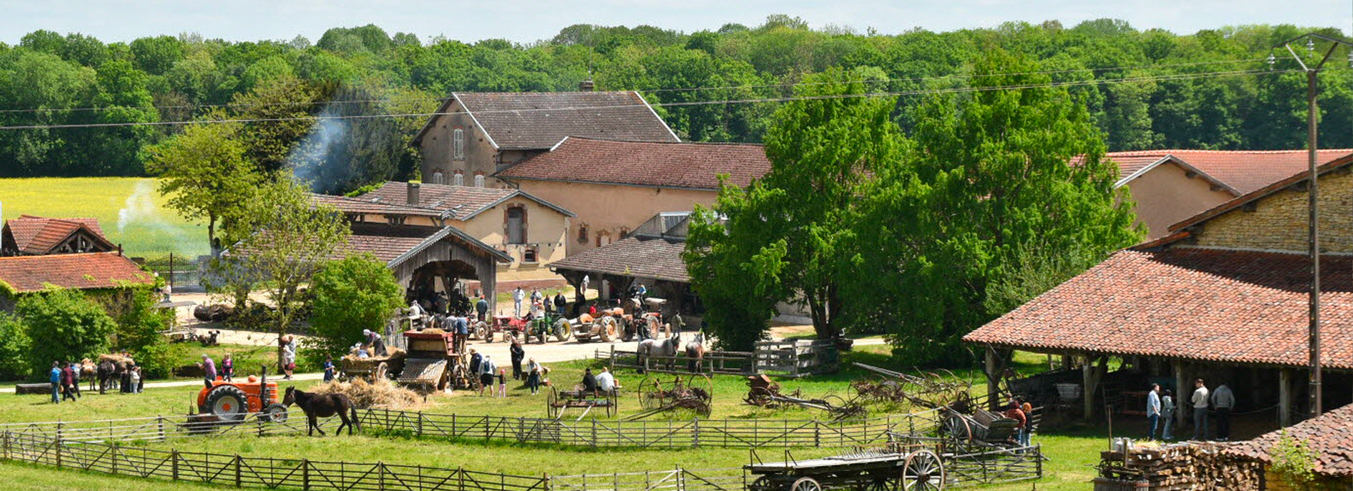 Chevaux Vieux métiers Azannes