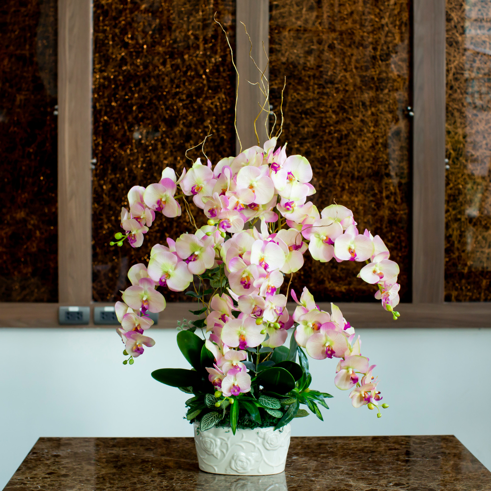 orchidées à Verdun