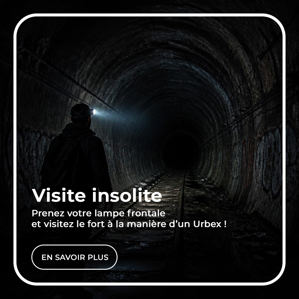 Visite insolite